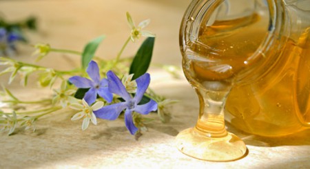 Jaké máme druhy medu?